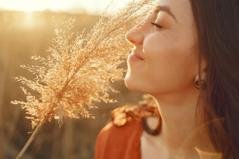 2026 年運勢指引：在世界轉換的縫隙中，練習回到身體與內在權威的平靜意象