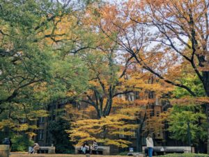 42-53成熟的通道